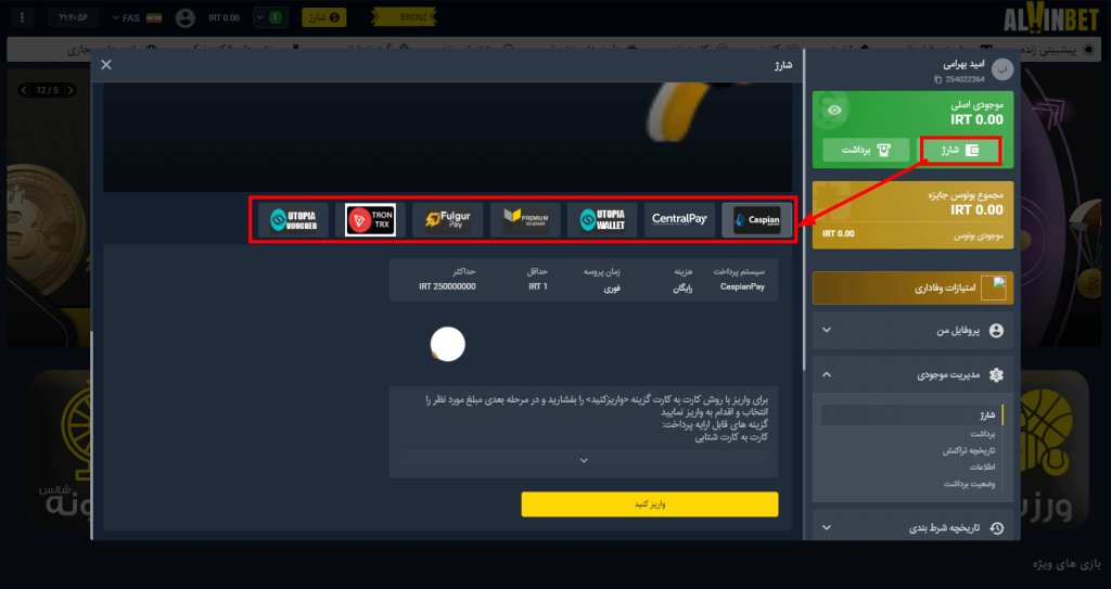 روش‌ های واریز در آلوین بت