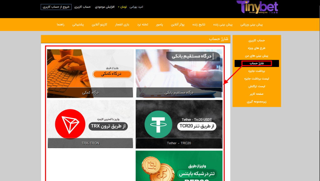 روش‌های واریزی تاینی بت