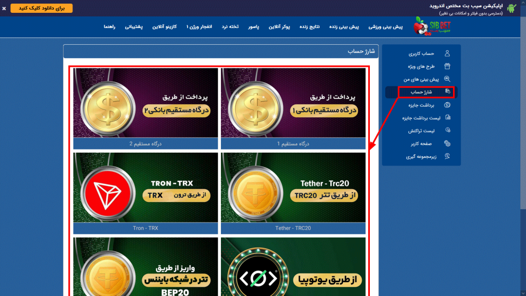 روش‌ های واریز در سیب بت