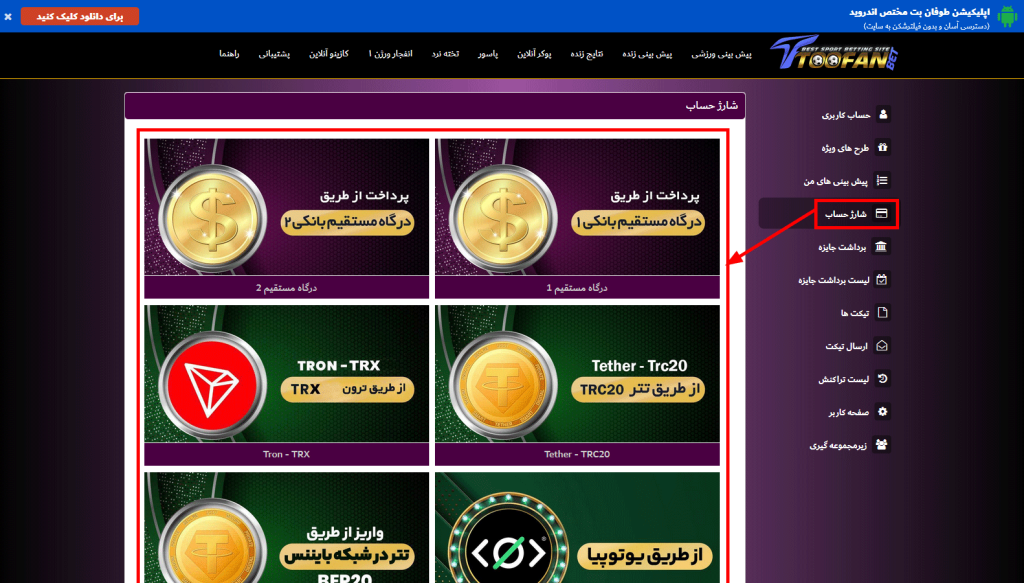 روش‌ های واریز در طوفان بت 