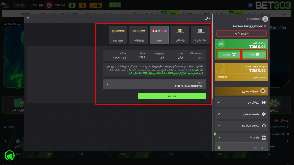 روش‌ های واریز و برداشت در سایت BET 303